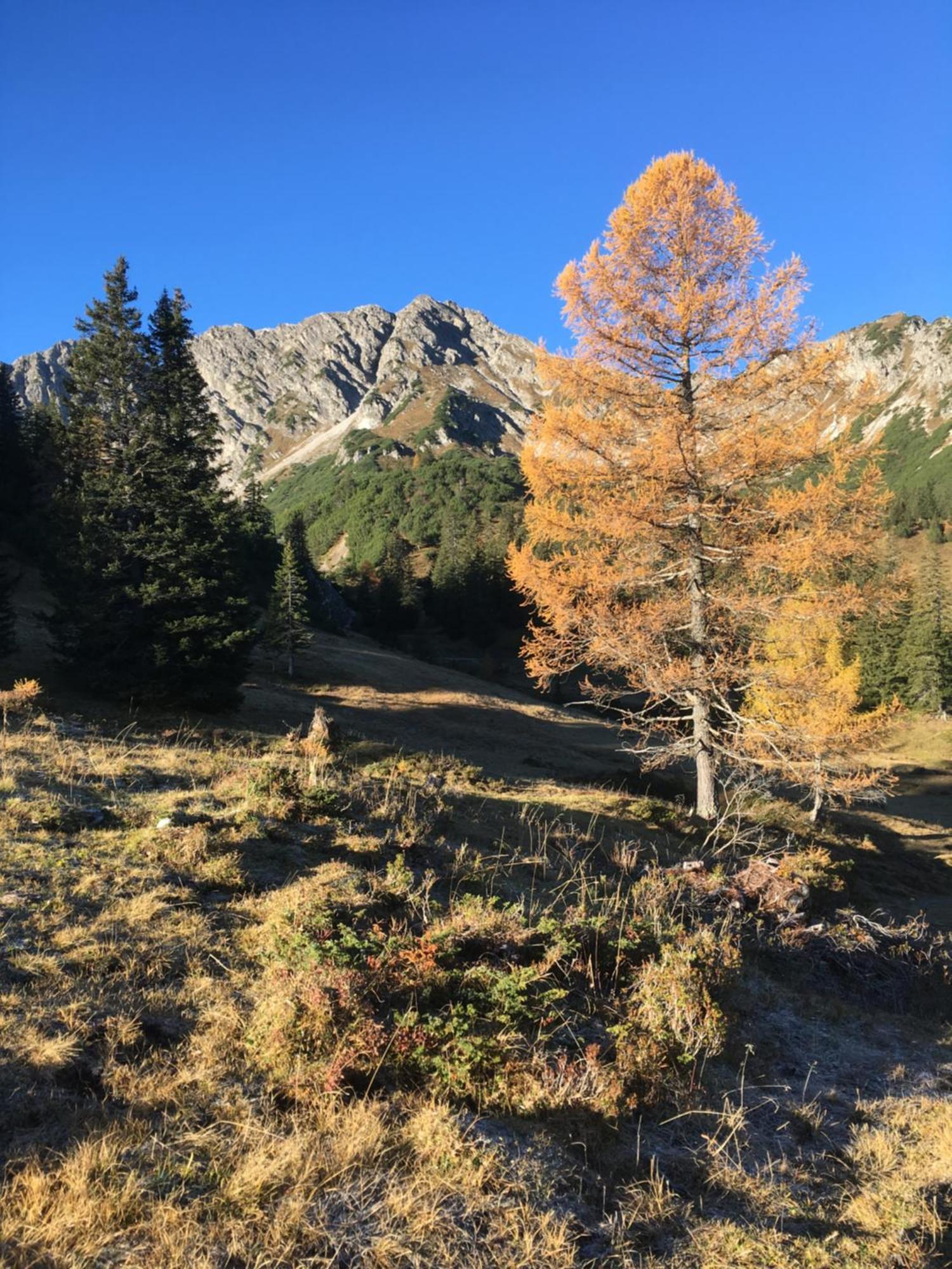 Appart Tramontana Lägenhet Bürserberg Exteriör bild